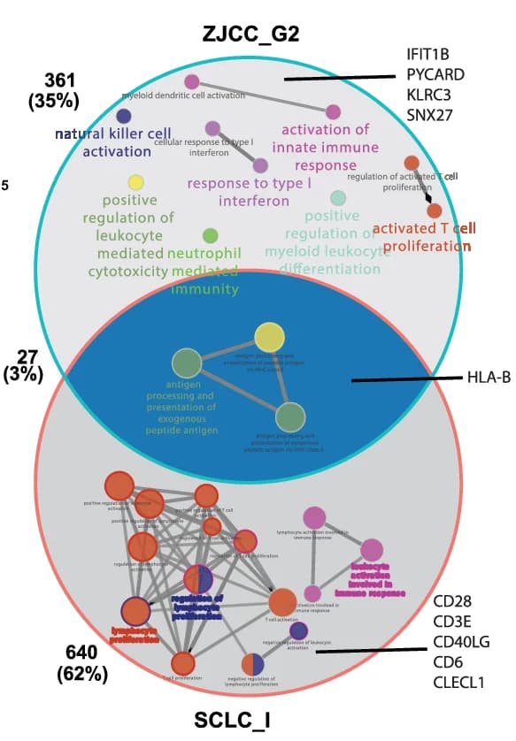 Open access visualization of Venn Diagram, Network, Marker Genes, Enriched Pathways, SCLC-I