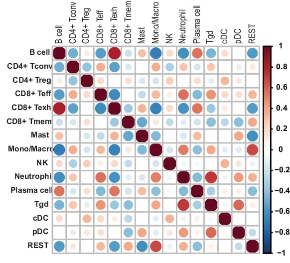 Open access visualization of Heatmap, Spearman Correlation, REST Expression, Immune Cell Subsets, RNA-seq