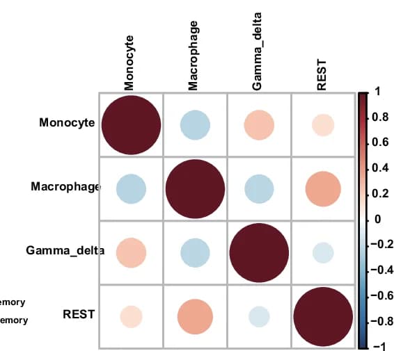 Open access visualization of Bubble Plot, Heatmap, Spearman Correlation, REST Expression, Immune Cell Subsets