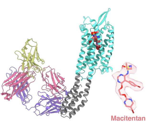 Open access visualization of Protein Structure, Chemical Structure, Cartoon Representation, Fab 301, ETA
