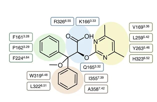 Open access visualization of Chemical Structure, Ambrisentan, ETA, Residues, Interactions