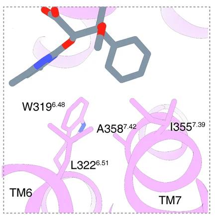 Open access visualization of Protein Structure, Chemical Structure, Ambrisentan, ETA, Residues