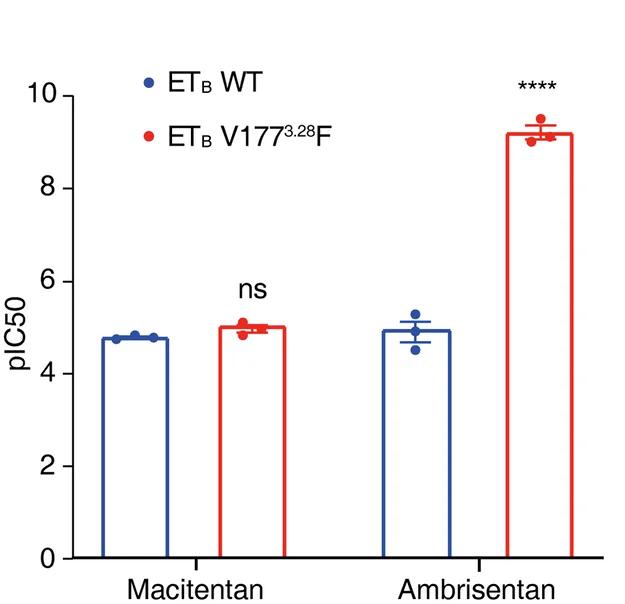 Open access visualization of Bar Plot, Error Bars, V177 3.28 F, ETB, Antagonistic Activities