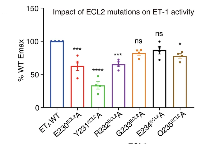 Open access visualization of Bar Plot, Error Bars, ET-1, WT, ETA