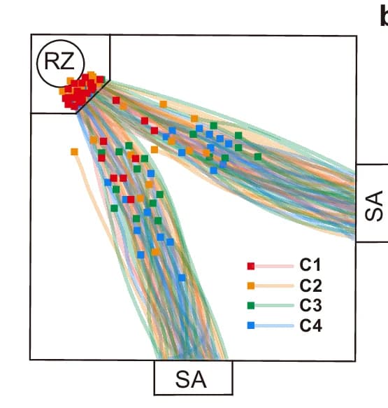 Open access visualization of Line Plot, Scatter Plot, Mouse, Spatial Trajectories, Recording Session