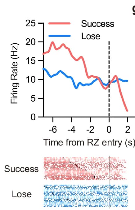 Open access visualization of Line Plot, Scatter Plot, Peri-event Histogram, Spike Raster Plots, Competition