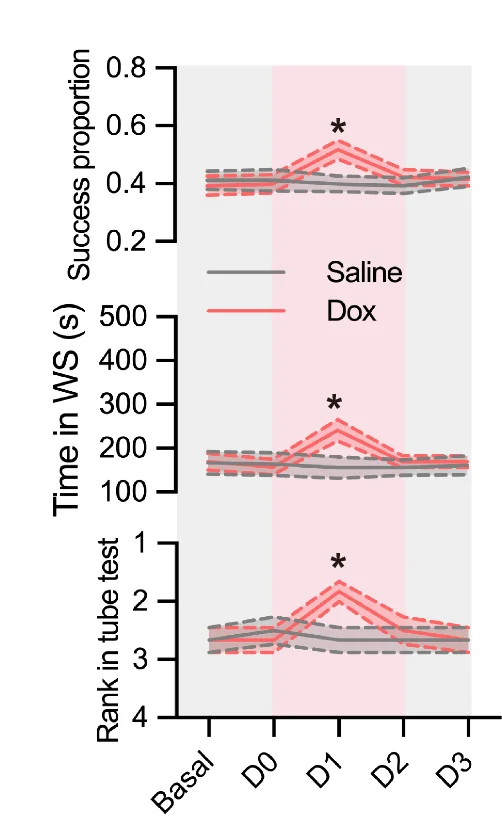 Open access visualization of Line Plot, Error Bars, Behavioral Recordings, Pkm2-flox mice, AAV-CaMKII-Cre-EGFP