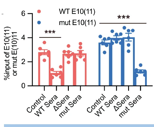 Open access visualization of Bar Plot, Error Bars, Clustered, Scatter Plot, qPCR Analysis