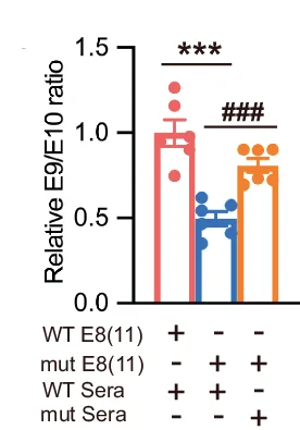 Open access visualization of Bar Plot, Error Bars, Scatter Plot, Exon Usage, qPCR