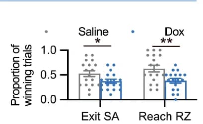 Open access visualization of Bar Plot, Error Bars, Scatter Plot, Winning Proportions, Spatial Association