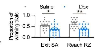 Open access visualization of Bar Plot, Error Bars, Clustered, Winning Proportions, Mice