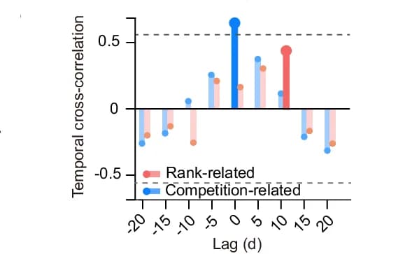 Open access visualization of Bar Plot, Scatter Plot, Temporal Cross-correlation, Food Competition, Neuronal Encoding