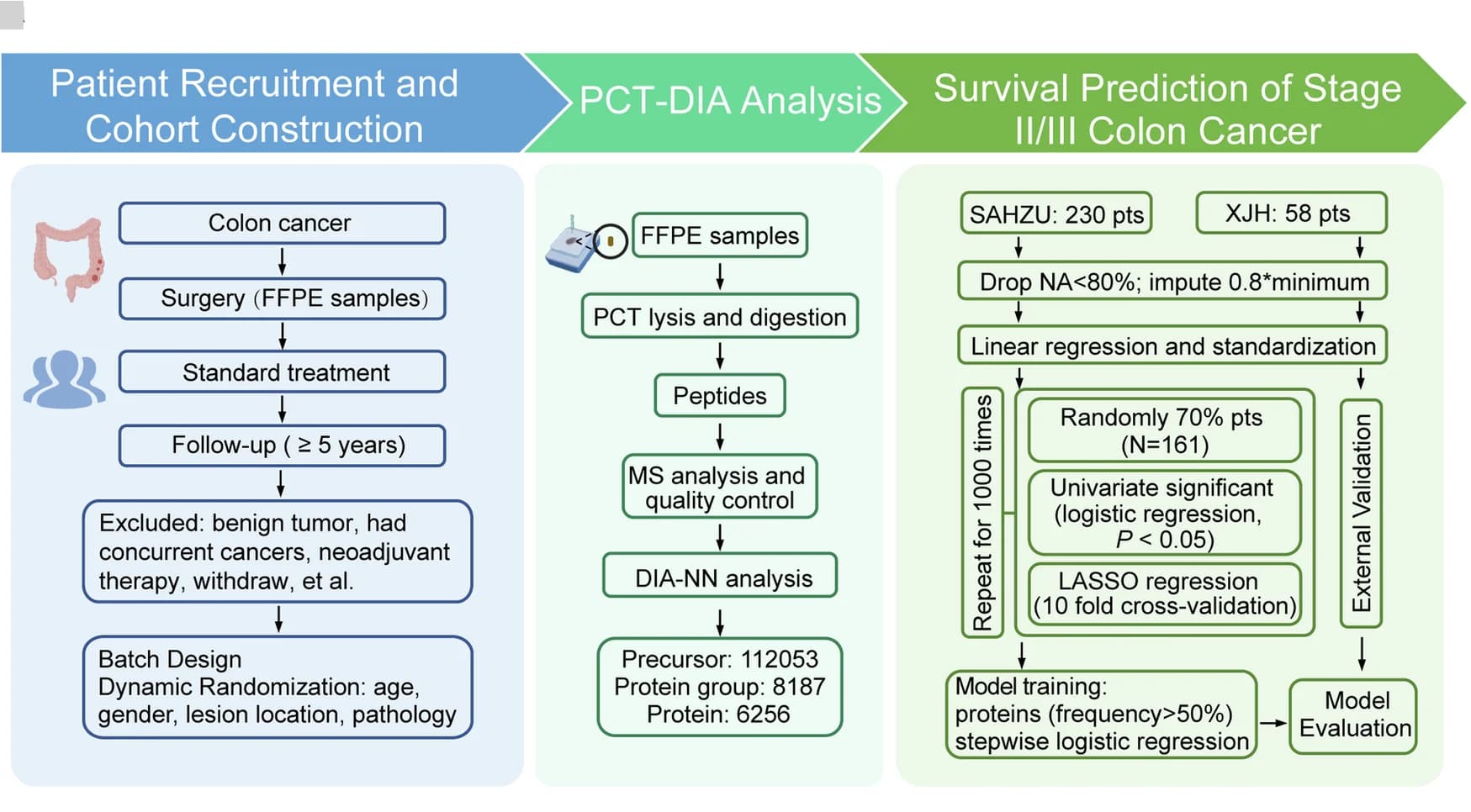Open access visualization of Workflow, Flowchart, Illustration, Patient Recruitment, Cohort Construction