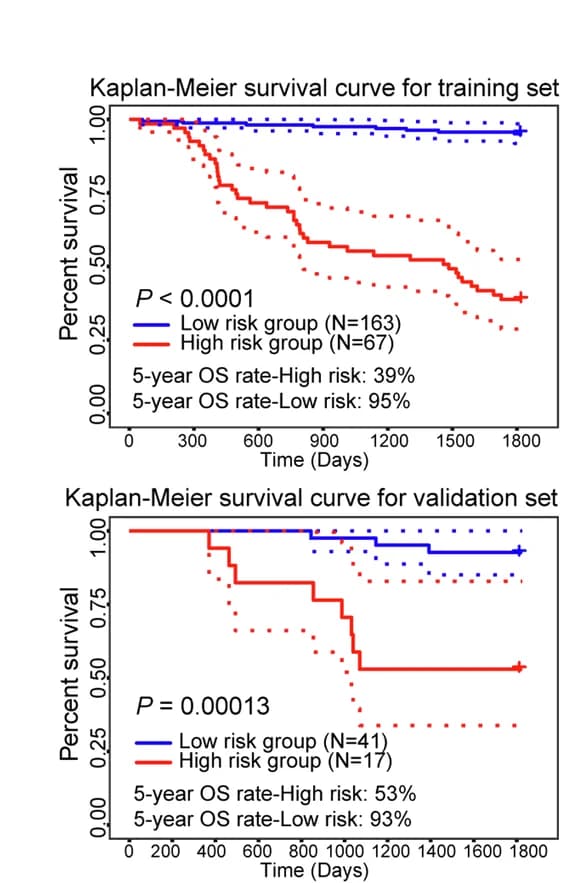 Open access visualization of Survival Curve, Error Bars, Kaplan-Meier Curve, Survival Analysis, Training Set