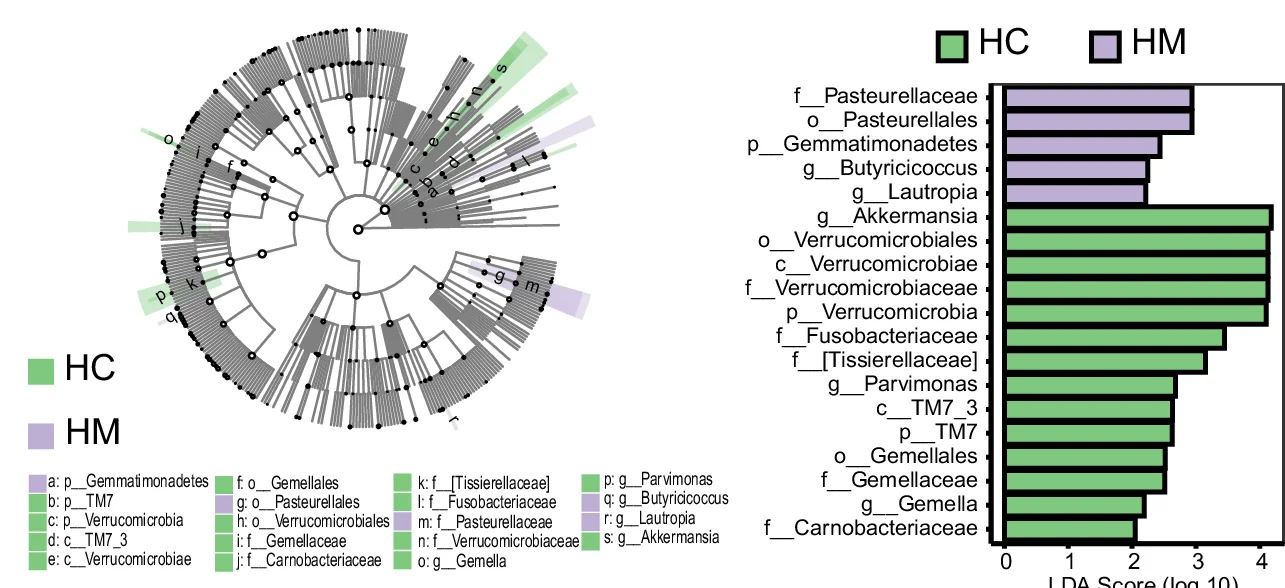 Open access visualization of Bar Plot, Network, Cladogram, Taxonomic Composition, LDA Effect Size