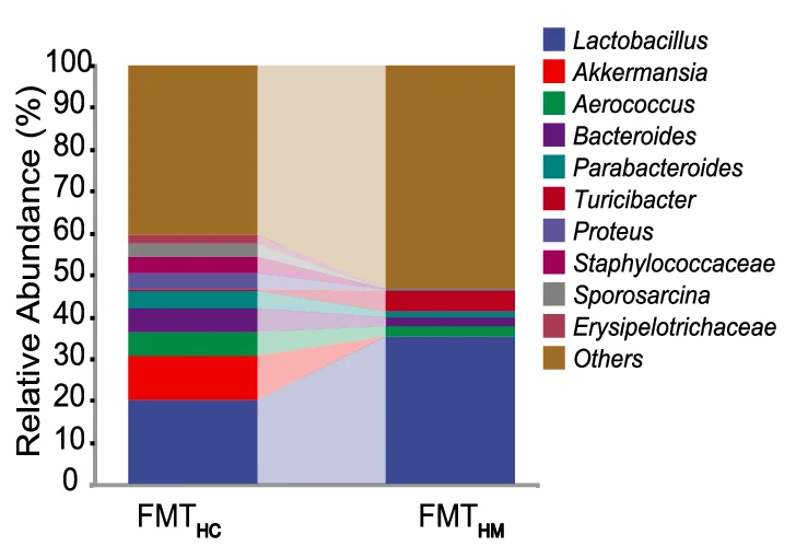 Open access visualization of Stacked Bar Plot, Gut Microbiota, ABX-treated Mice, Control Mice, Genus Level