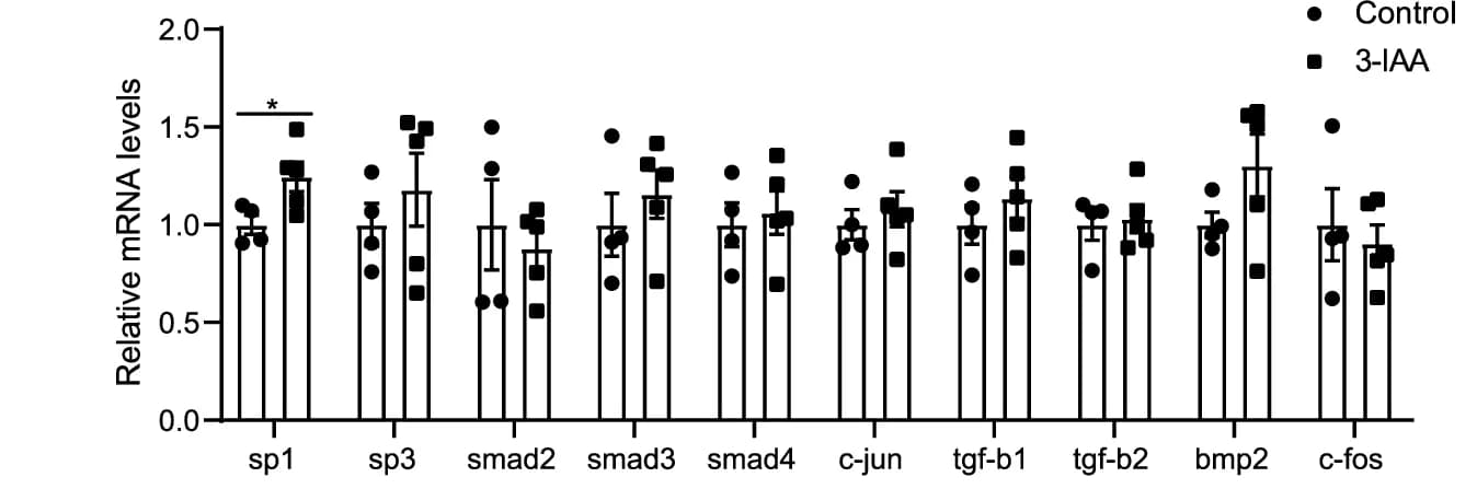Open access visualization of Bar Plot, Error Bars, Scatter Plot, mRNA, Genes