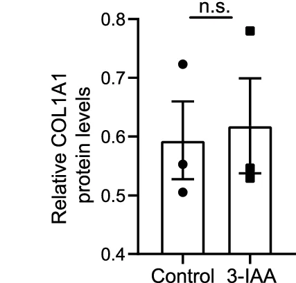 Open access visualization of Bar Plot, Error Bars, HFSF Cells, SP1 siRNA, 3-IAA