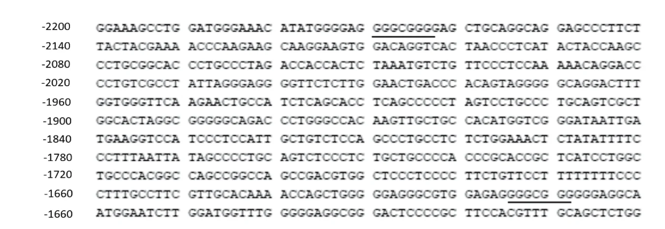 Open access visualization of Photo, COL1A1 Gene, Ensembl Genome Browser, SP1 DNA Binding Sites