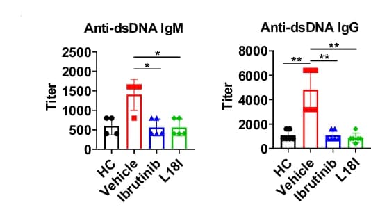 Open access visualization of Bar Plot, Error Bars, OD 490nm, Serum Anti-dsDNA IgM, Serum Anti-dsDNA IgG