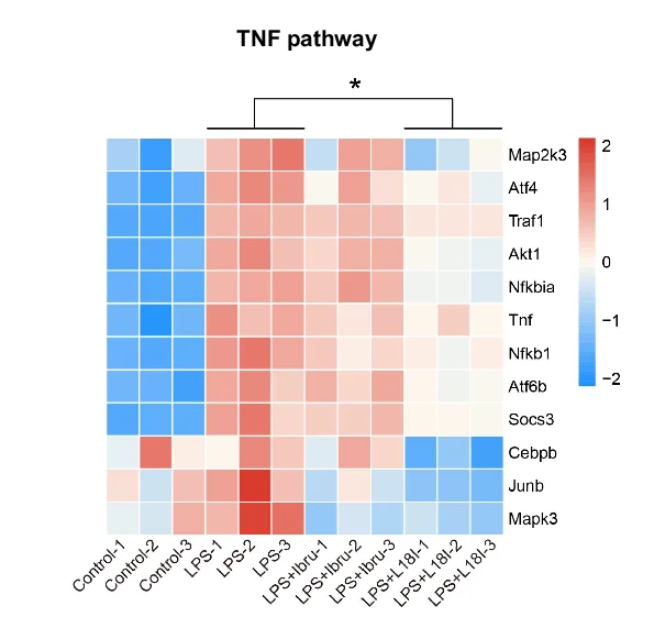 Open access visualization of Heatmap, Primary B-Cells, DMSO, Ibrutinib, L18I