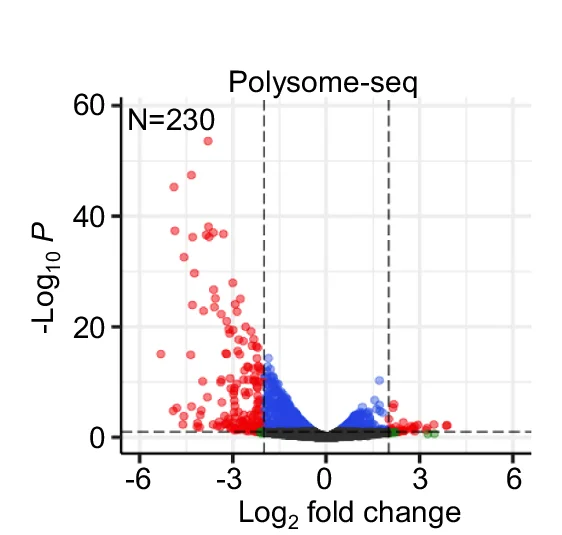 Open access visualization of Volcano Plot, Scatter Plot, Differential mRNAs, eIF5A Knockout Mice, Wild-Type Controls