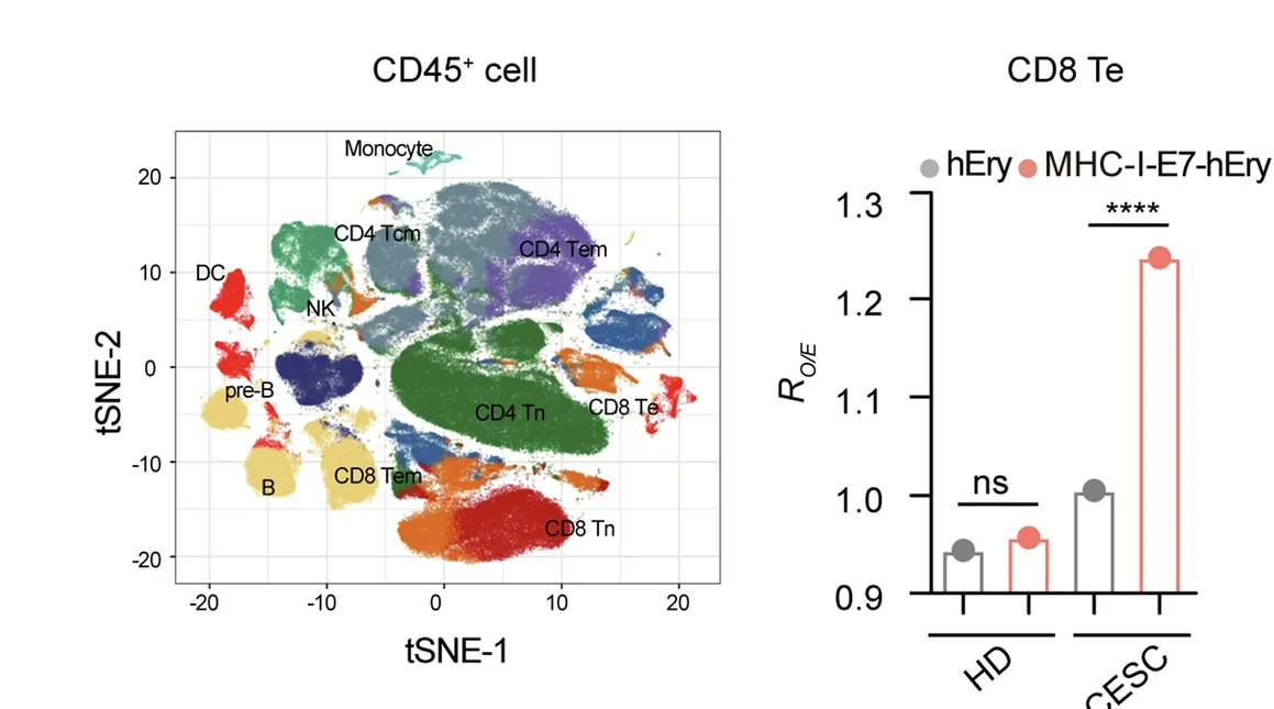 Open access visualization of UMAP, Bar Plot, PBMCs, CESC Patient, Healthy Donor