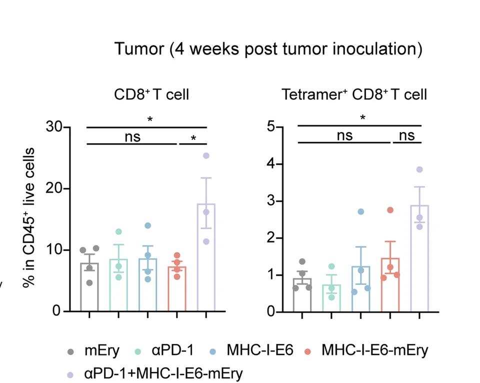 Open access visualization of Bar Plot, Error Bars, Scatter Plot, CD8+ T Cells, HPV16-specific CD8+ T Cells