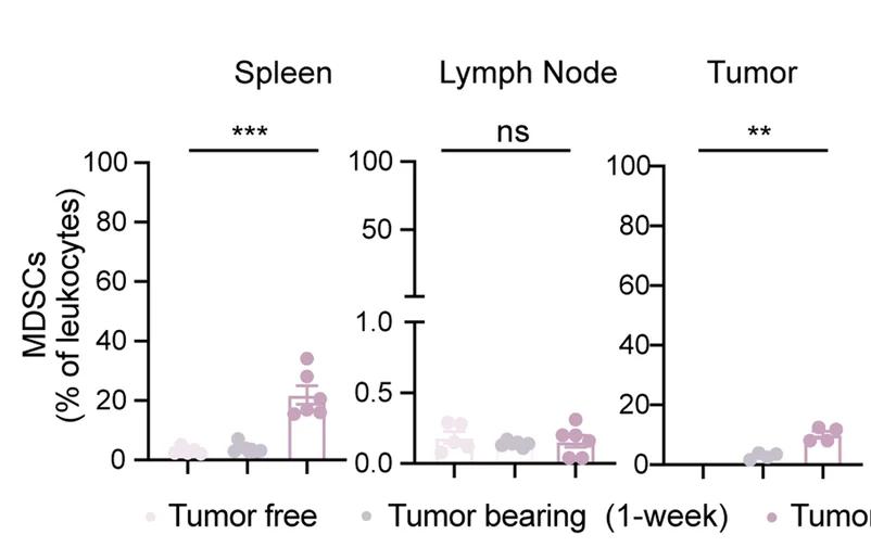 Open access visualization of Bar Plot, Error Bars, Scatter Plot, MDSCs, Flow Cytometry