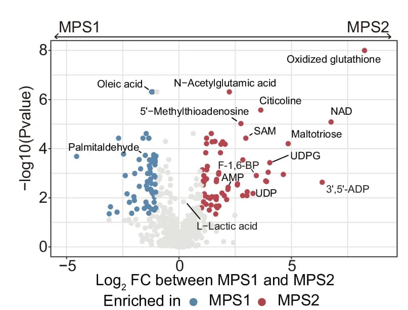 Open access visualization of Volcano Plot, Scatter Plot, Metabolites, MPS1, MPS2