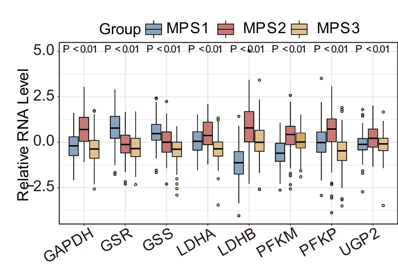 Open access visualization of Box Plot, mRNA Expression, GAPDH, GSR, GSS