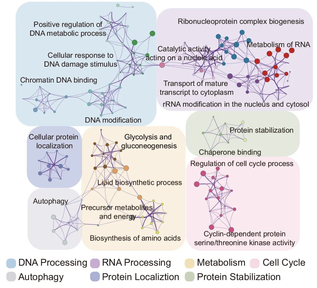 Open access visualization of Network, Pathway, Intron-Retained Transcripts, Control, SNRNP200-Knockdown