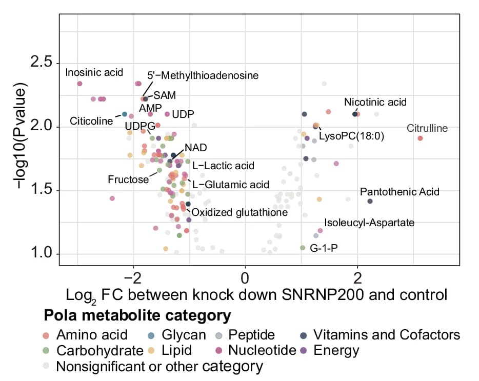 Open access visualization of Volcano Plot, Scatter Plot, Polar Metabolites, Control, SNRNP200-knockdown MDA-MB-231 Cells