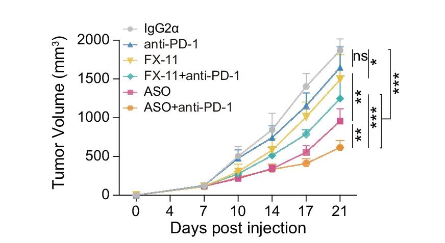 Open access visualization of Line Plot, Error Bars, Tumor Growth, Groups, Mean ± SEM