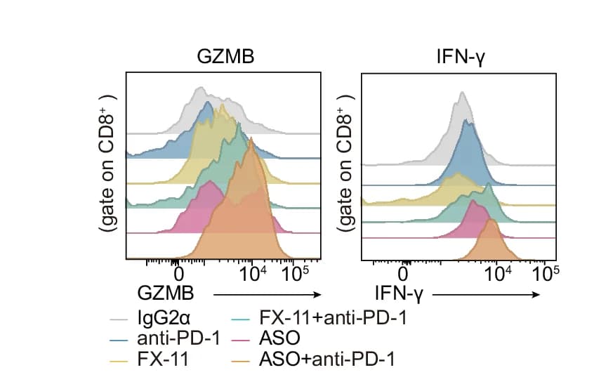 Open access visualization of Density Plot, Line Plot, Histograms, GZMB + Cells, IFN-γ + Cells