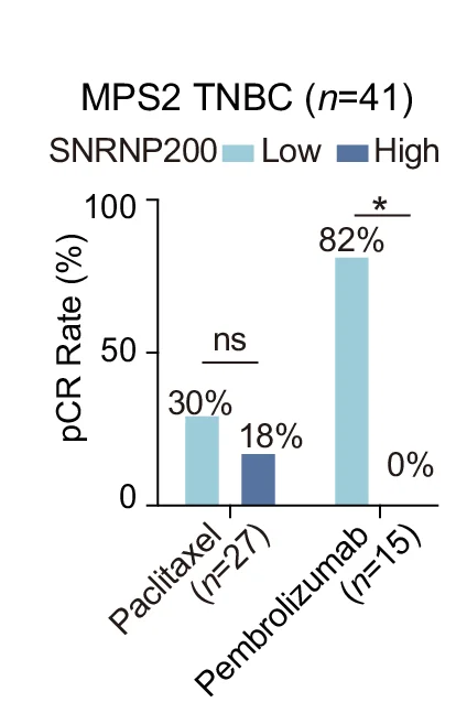 Open access visualization of Bar Plot, Clustered, Bar Chart, SNRNP200 Expression, Glycolytic TNBC Patients