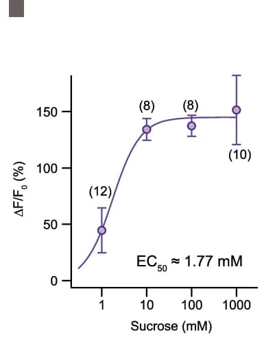 Open access visualization of Line Plot, Error Bars, Current Densities, DmoGr43a, HEK293 Cells