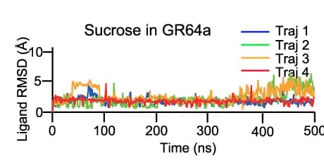 Open access visualization of Line Plot, Time-Dependent RMSD, Sucrose, Simulation, Sugars