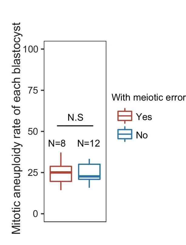 Open access visualization of Box Plot, Boxplot, Aneuploidy Rates, Blastocysts, Meiosis Induced Aberrations
