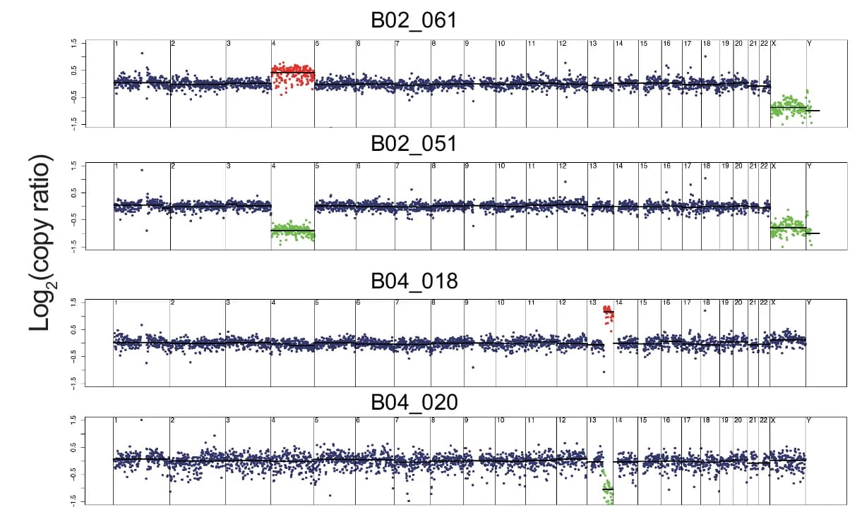 Open access visualization of Scatter Plot, Line Plot, Segmentation Plots, Chromosome Gain, Chromosome Loss