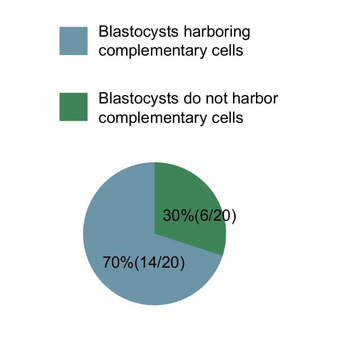 Open access visualization of Pie Chart, Pie Charts, Blastocysts, Chromosome Complementary Cells