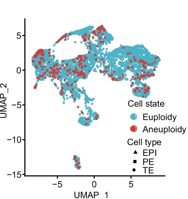 Open access visualization of UMAP, Scatter Plot, Aneuploidy Distribution, EPI Cells, PE Cells