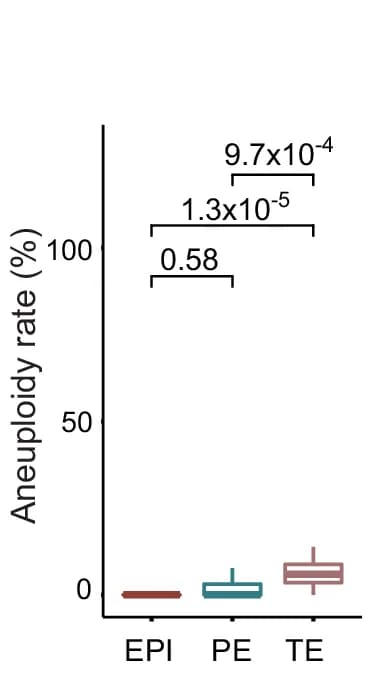 Open access visualization of Box Plot, Aneuploidy Rate, EPI Cells, PE Cells, TE Cells