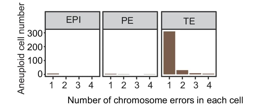 Open access visualization of Bar Plot, Aneuploid Cells, Chromosome Errors, EPI Cells, PE Cells