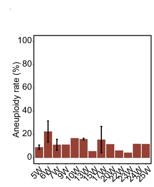 Open access visualization of Bar Plot, Error Bars, Aneuploidy Rate, Embryonic Hearts, Fetal Hearts