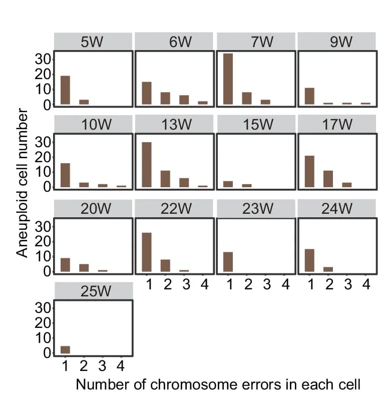 Open access visualization of Bar Plot, Aneuploid Cells, Chromosome Errors, Embryonic Hearts, Fetal Hearts