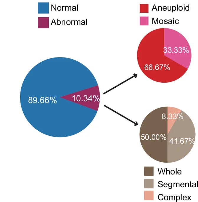 Open access visualization of Pie Chart, Abnormal Rate, Aneuploidy Rate, Aneuploidy Type, Backup Biopsy Samples