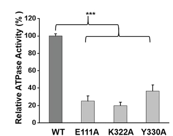 Open access visualization of Bar Plot, Error Bars, ATPase Activities, chABCD3, Mutants