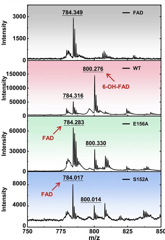 Open access visualization of Line Plot, Density Plot, MALDI-TOF MS, FAD, hFSP1