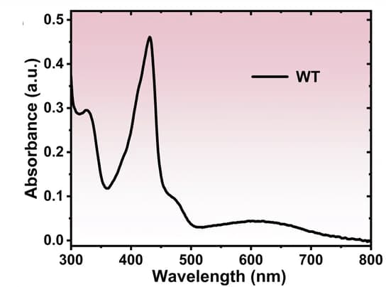 Open access visualization of Line Plot, UV-Vis Spectroscopy, hFSP1, Mutants